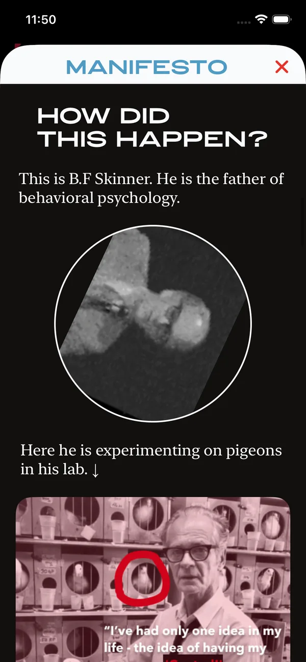 Manifesto: how did this happen? B.F. Skinner experimenting on pigeons in his lab